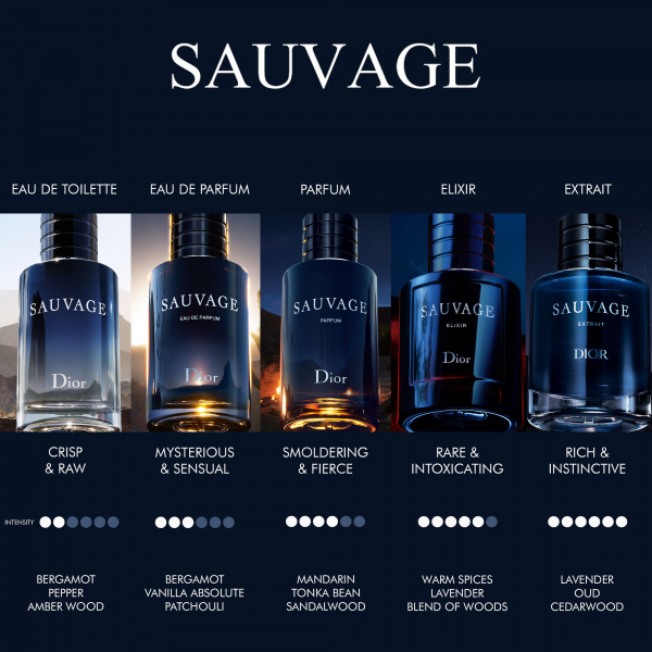Dior Sauvage Eau de Parfum - fotografie 4